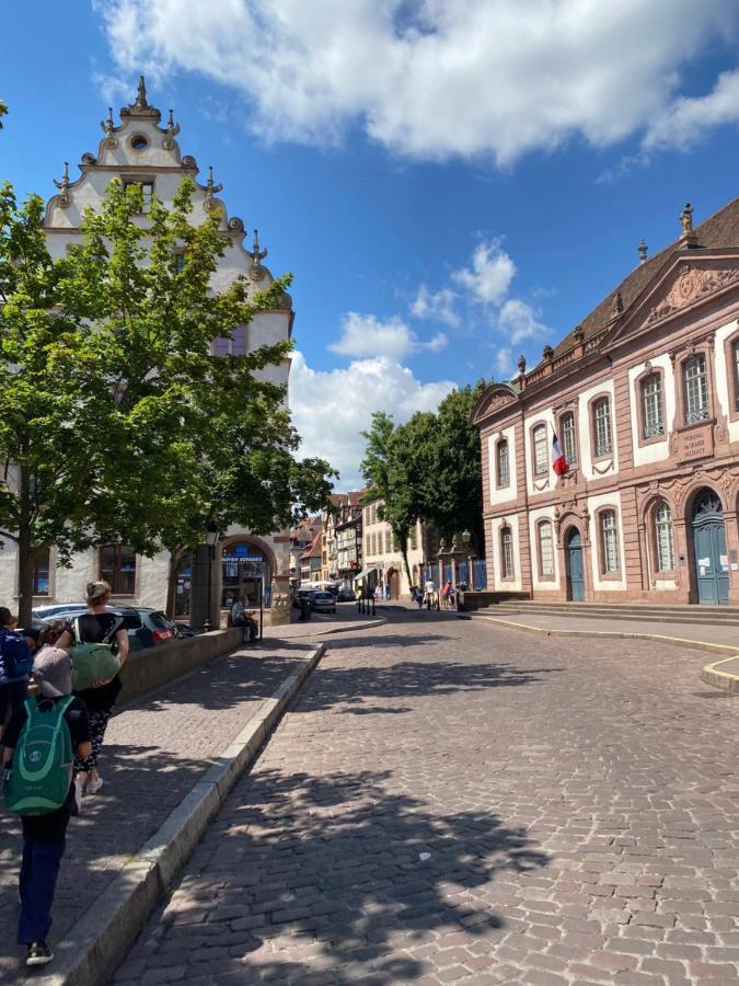 Hello Colmar Luxury Petite Venise 7 Pers Parking Velos Apartman Kültér fotó